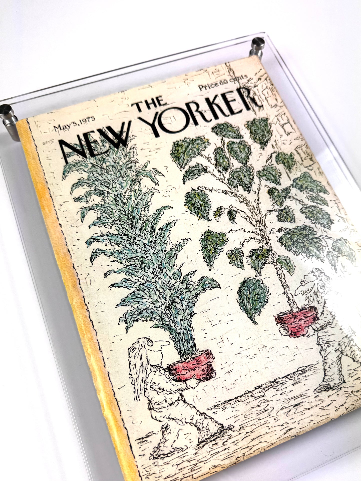 Framed Vintage The New Yorker Magazine - May 5, 1975