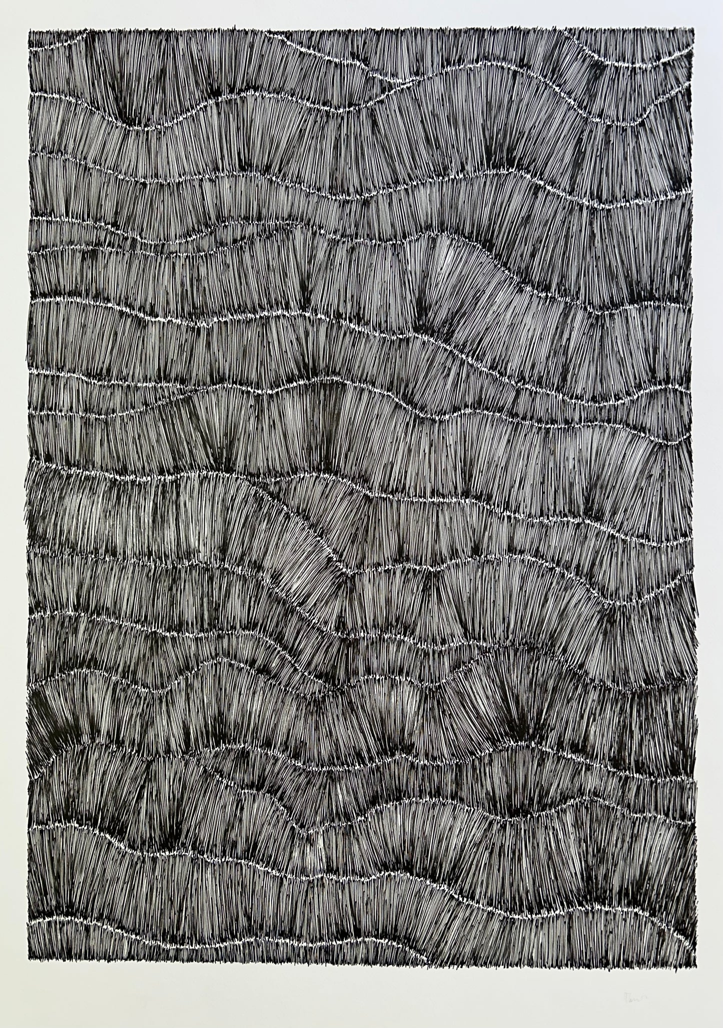 Guillaume Thunis - Ink on Paper