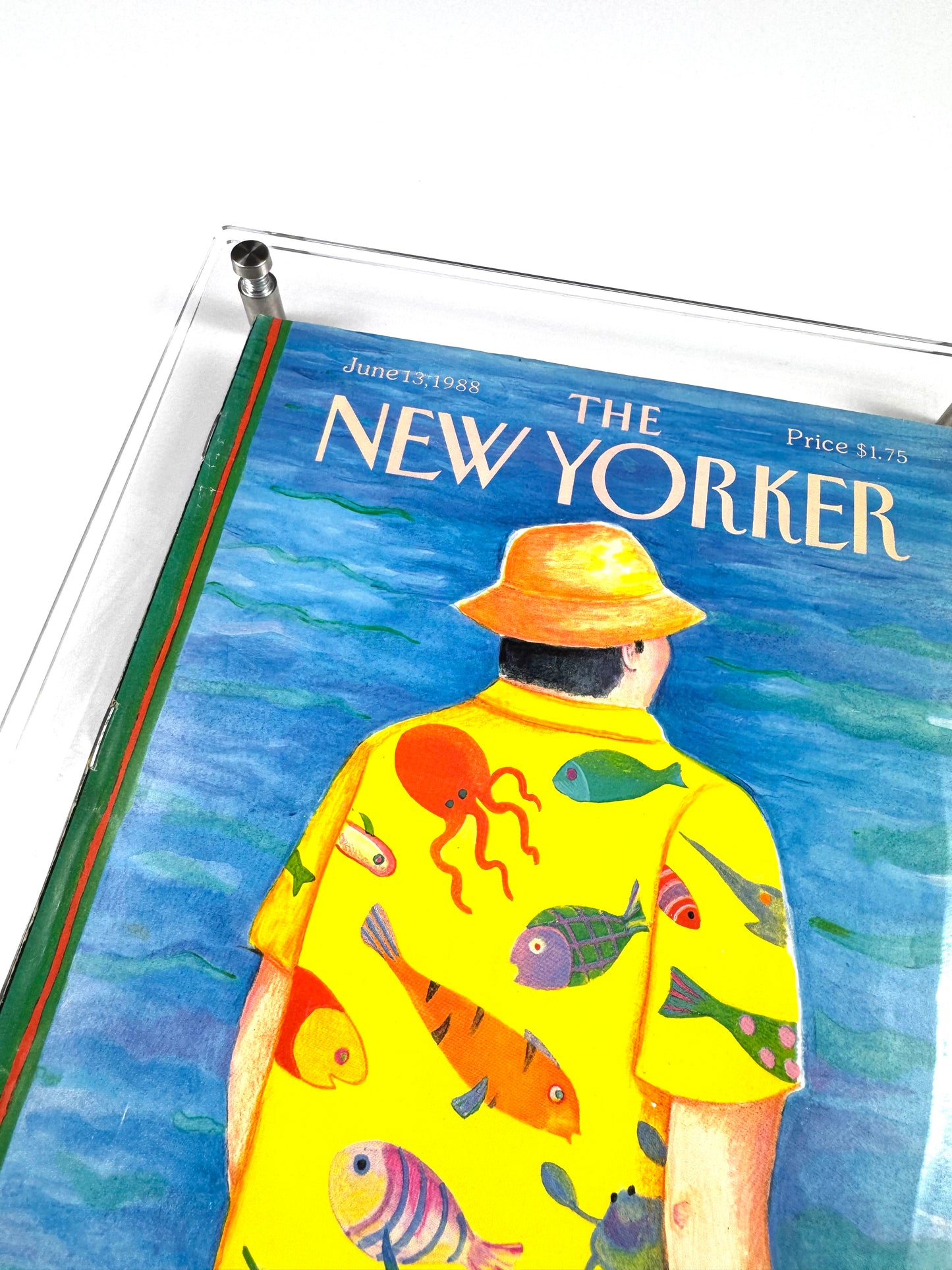 Framed Vintage The New Yorker Magazine, June 13, 1988