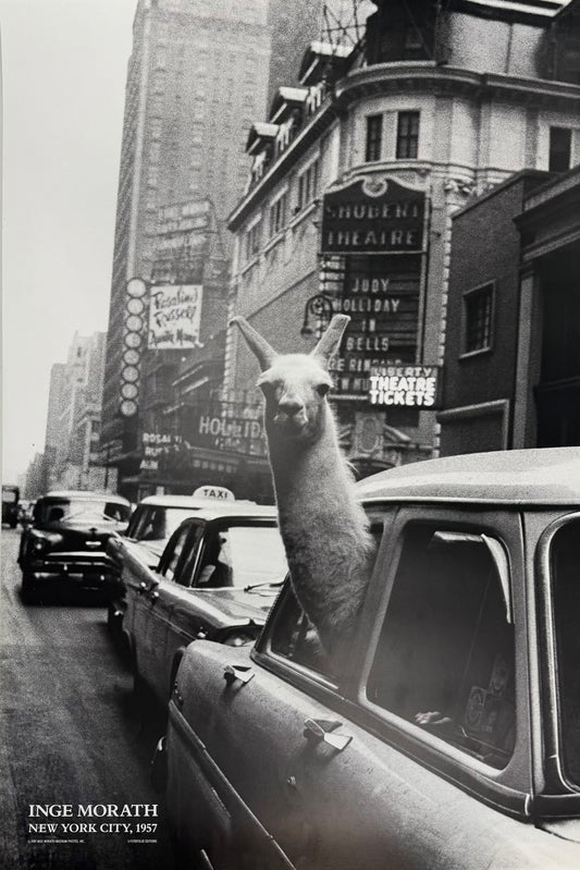 Original Inge Morath Poster - New York City, 1960s