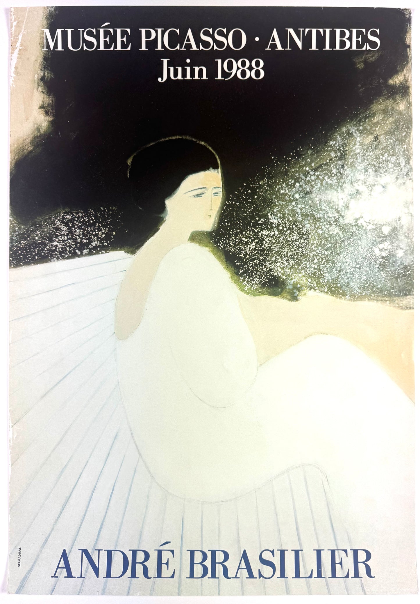 Original Vintage André Brasilier Exhibition Poster, 1988